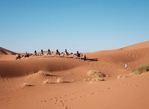 2 Days 1 Night Desert experience from Mhamid to Erg lihoudi desert