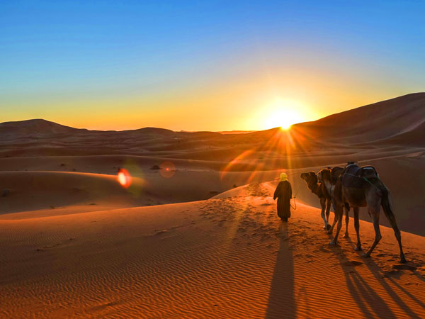 4 Days 3 Nights from Marrakech to Fez via Erg Chebbi desert